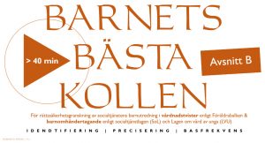 Avsnitt B - Barnets-bästa-kollen